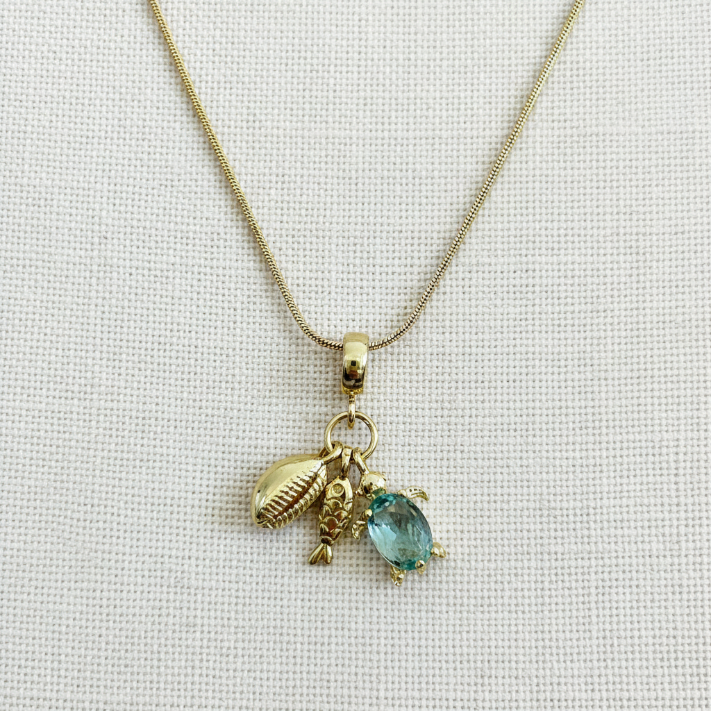 Cadena tortuga