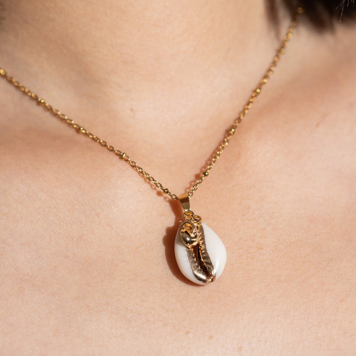 Cadena Nueva Conchita