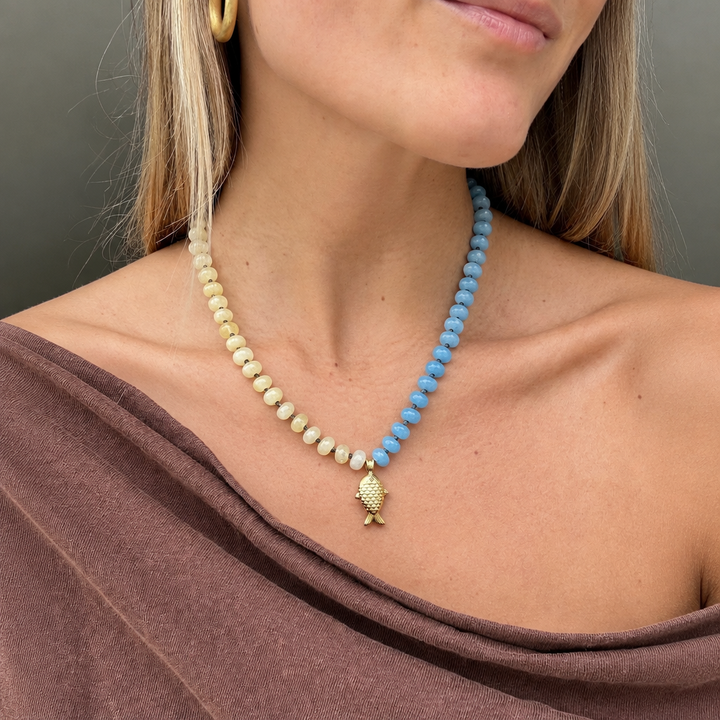 Collar pez amarillo y azul en modelo 2